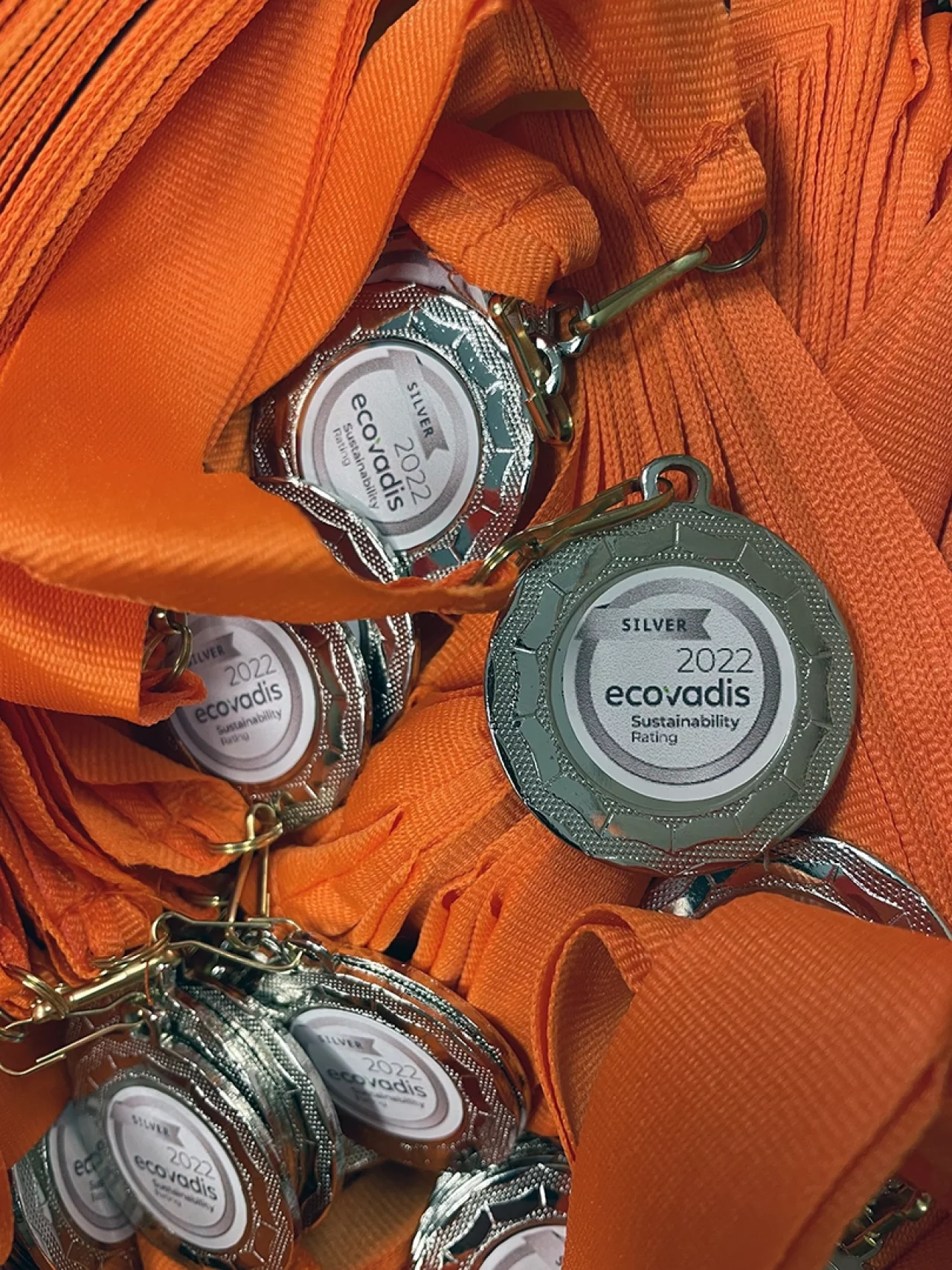 A pile of silver medals with Ecovadis logo.