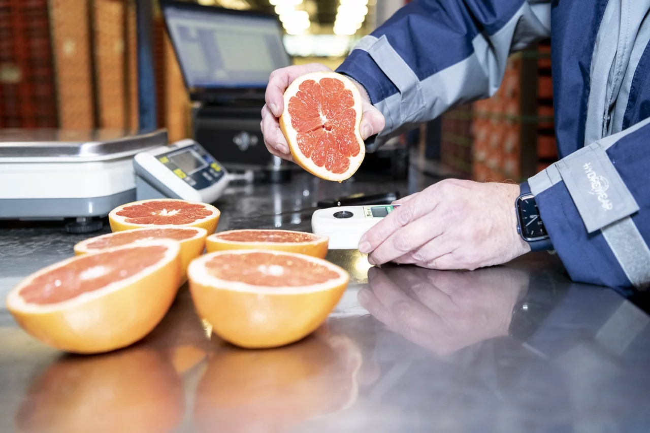 Persoon die in grapefruit knijpt om de kwaliteit te testen.